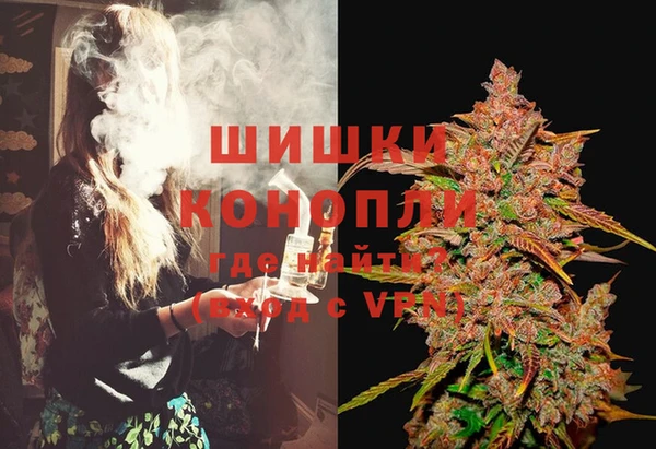 ECSTASY Бородино