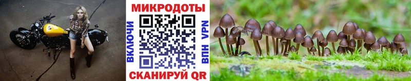 Галлюциногенные грибы Cubensis  Нижневартовск 